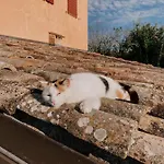 Casale Il Girasole
