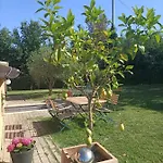 Casale Il Girasole ゲストハウス 4*