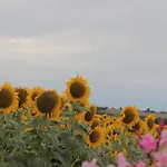 Casale Il Girasole Pensionat Barbara (Pesaro and Urbino)