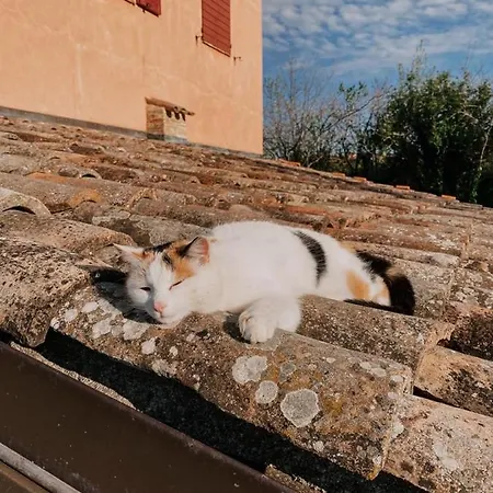 Casale Il Girasole