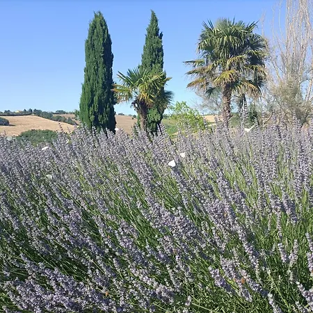 Casale Il Girasole