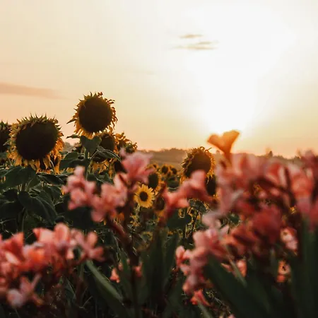 Casale Il Girasole Barbara (Pesaro and Urbino)