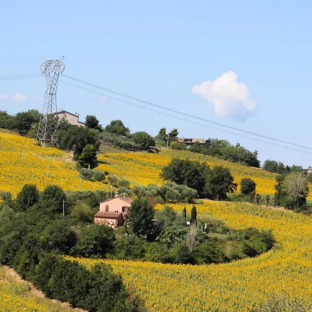 Casale Il Girasole