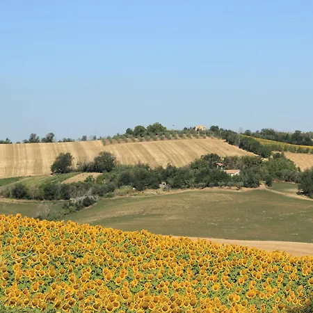 Gasthuis Casale Il Girasole