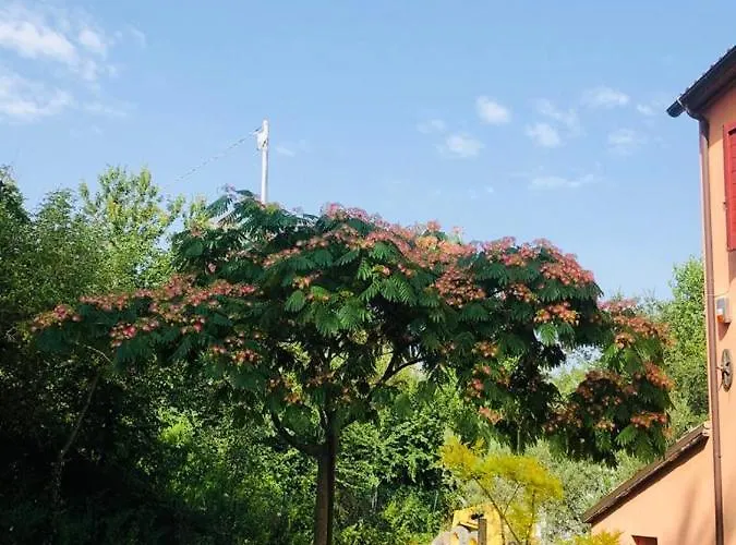 Casale Il Girasole Affittacamere Barbara (Pesaro and Urbino)