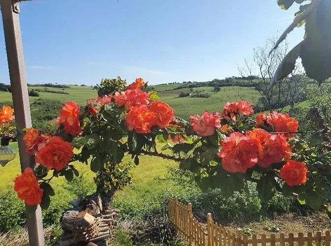 Casale Il Girasole Affittacamere