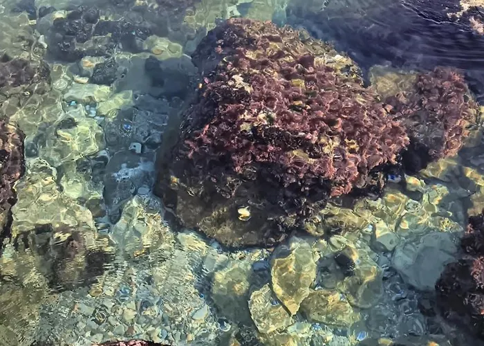 Casale Il Girasole Barbara (Pesaro and Urbino)