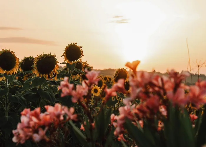 Casale Il Girasole Barbara (Pesaro and Urbino)