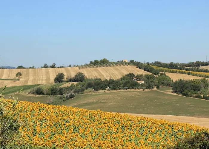 Affittacamere Casale Il Girasole